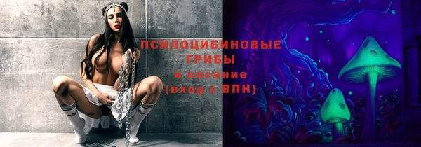 apvp Елизово