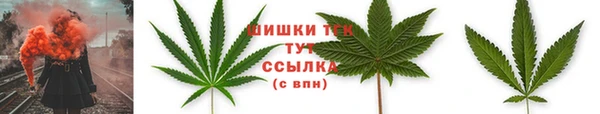 дурь Новодвинск