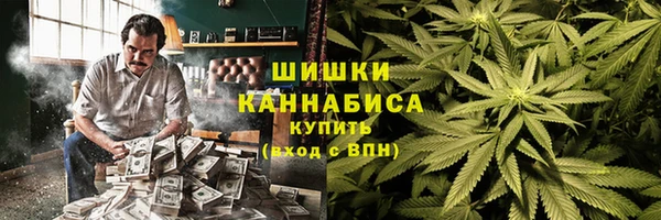первитин Новозыбков