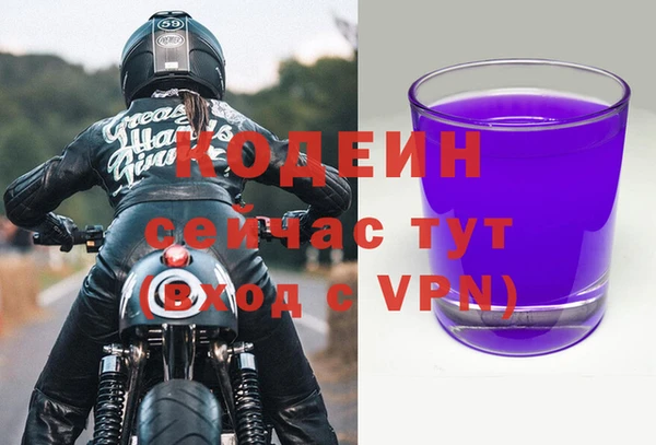 дурь Новодвинск