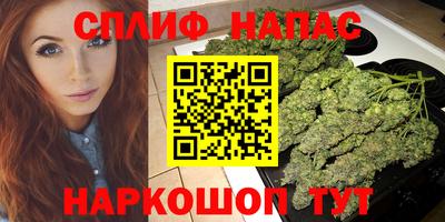 2c-b Кингисепп