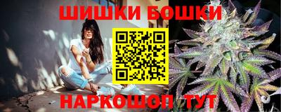 2c-b Кингисепп